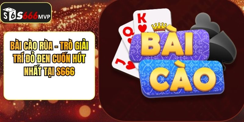 Bài Cào Rùa - Trò Giải Trí Đỏ Đen Cuốn Hút Nhất Tại S666